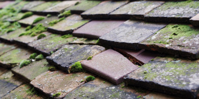 Feering roof repair costs
